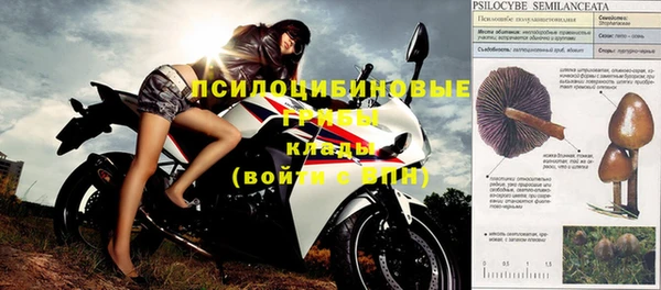 дживик Волоколамск